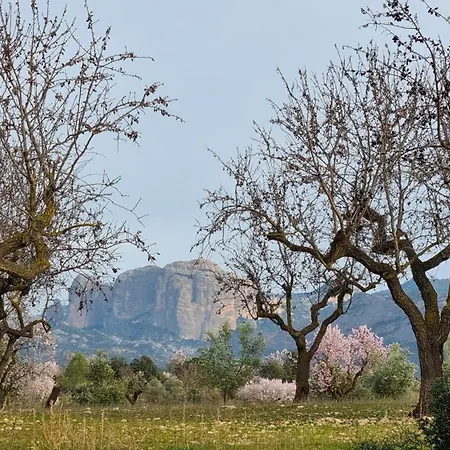 Les Valletes Vakantiehuis Arnés