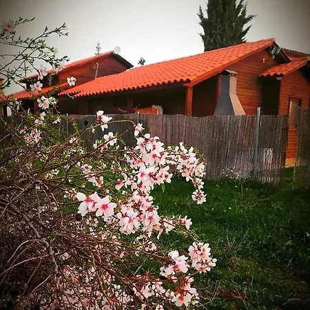 Les Valletes